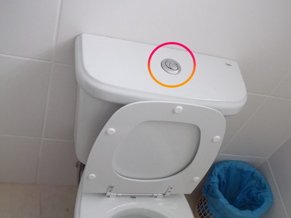 Detail dvojitého tlačítka na splachování WC.