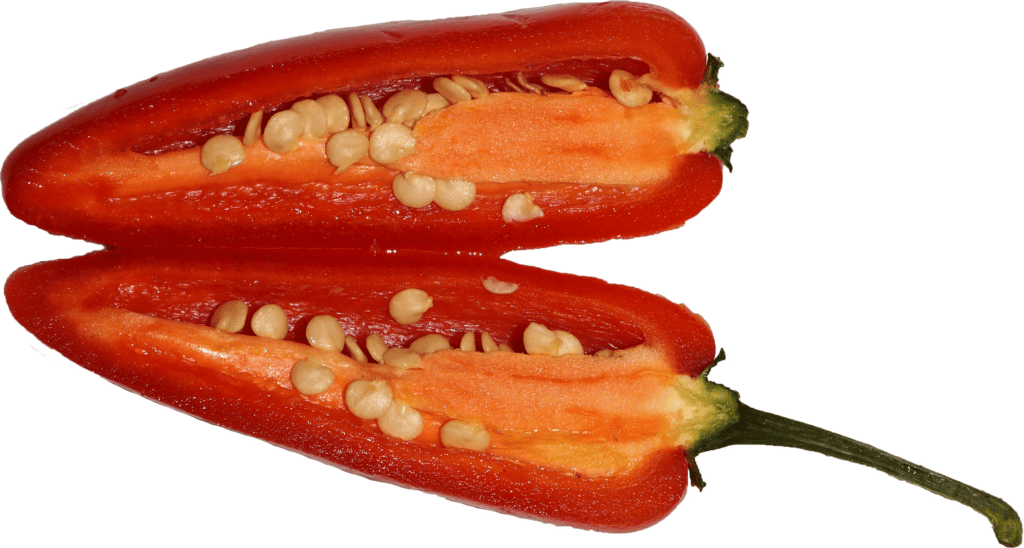 Podélně rozříznutá červená chilli paprička se semínky a světlou vnitřní placentou.