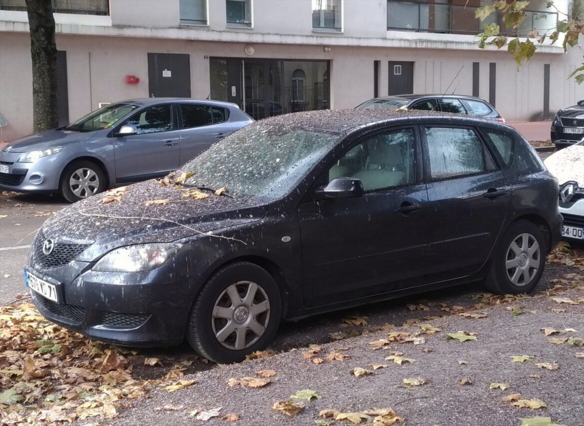 Tmavá Mazda se spadaným listím na kapotě a střeše pod stromem.